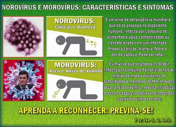 Aprenda a identificar as carecterísticas e os sintomas destes dois vírus e saber como se proteger!